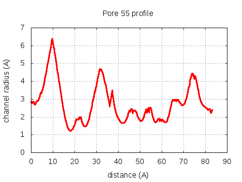 Pore 55 profile